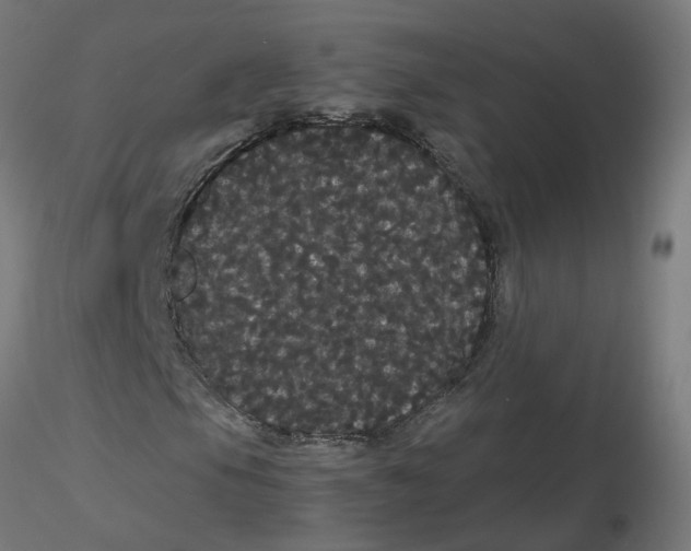 X0000116121105200912211648
