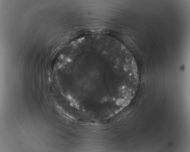 X0000116121106200912211648