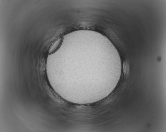 X0000116121107200912211648