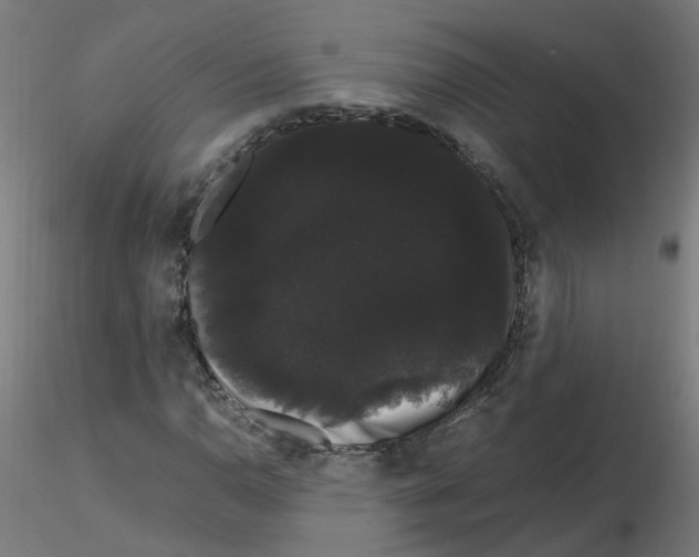 X0000116121110200912211648