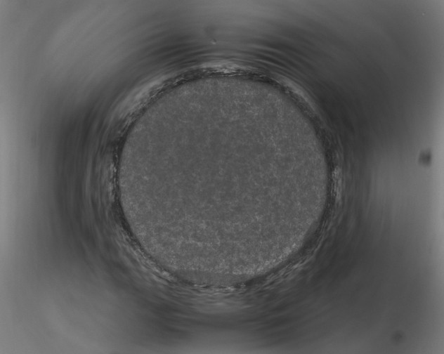 X0000116121111200912211648