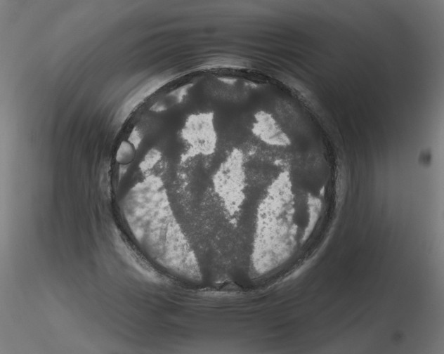 X0000116121113200912211648