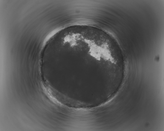 X0000116121114200912211648