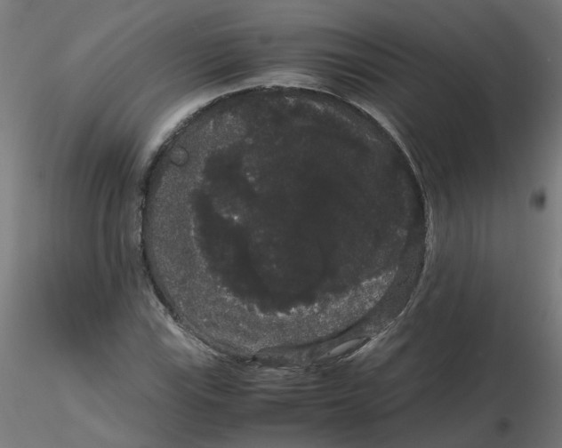 X0000116121115200912211648
