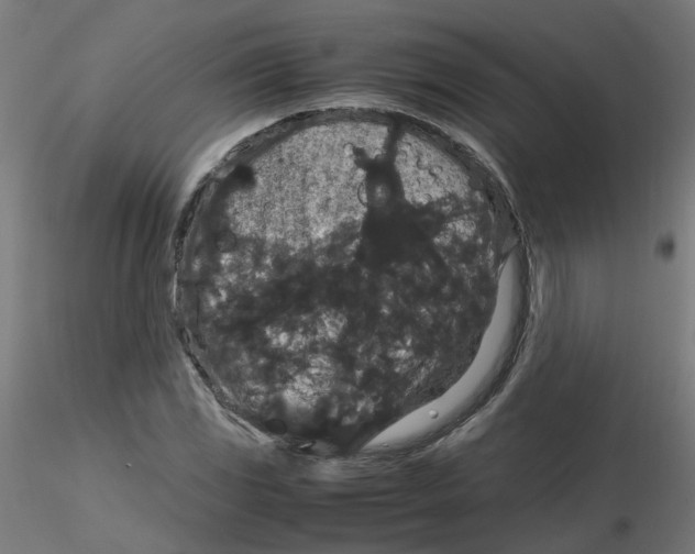 X0000116121117200912211648