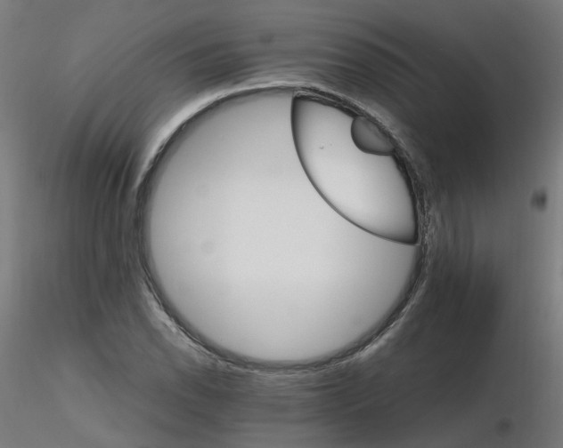 X0000116121118200912211648