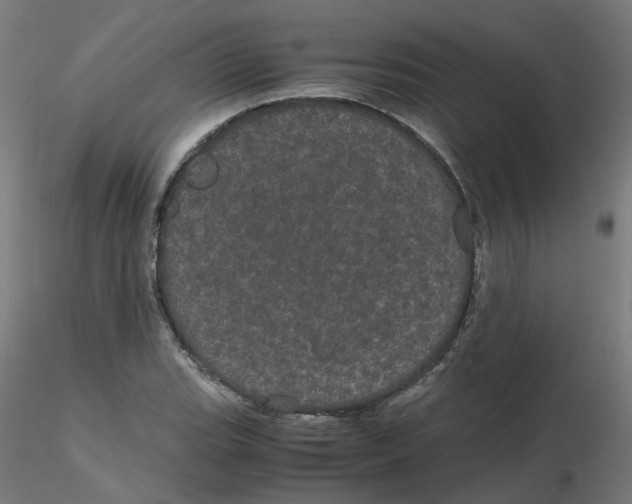 X0000116121119200912211648