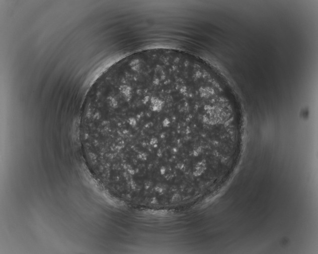 X0000116121121200912211648