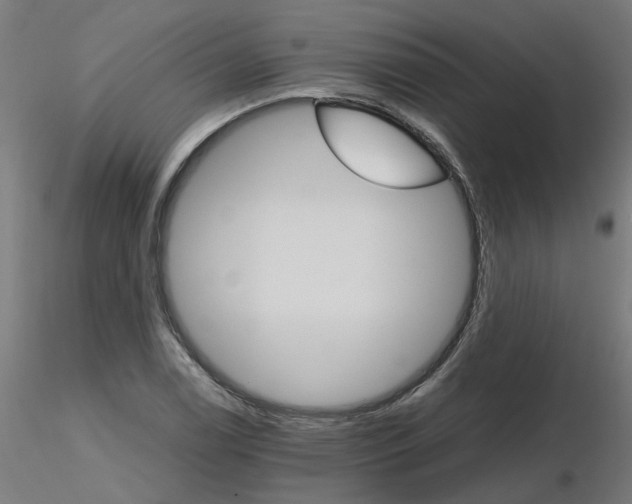 X0000116121122200912211648