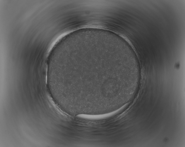 X0000116121123200912211648