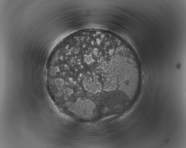X0000116121125200912211648