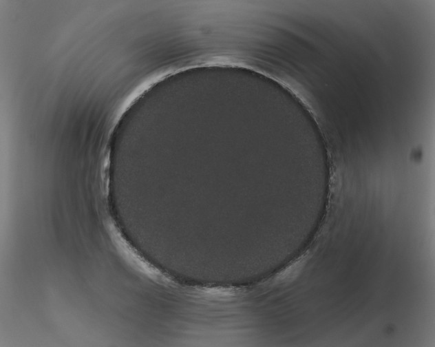 X0000116121126200912211648