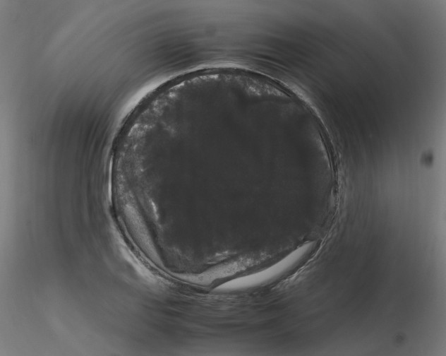 X0000116121127200912211648