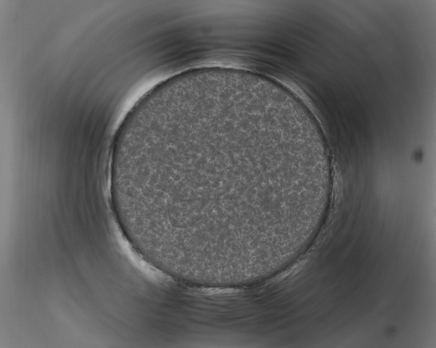 X0000116121131200912211648