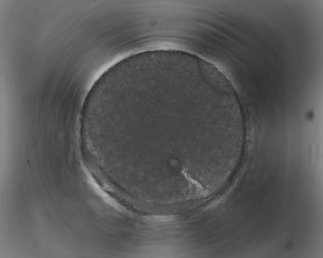 X0000116121134200912211648