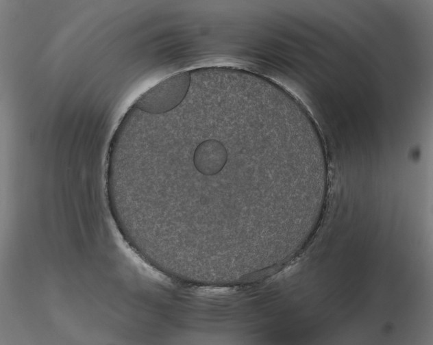 X0000116121135200912211648