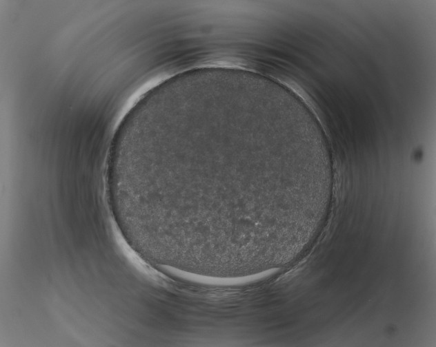 X0000116121139200912211648