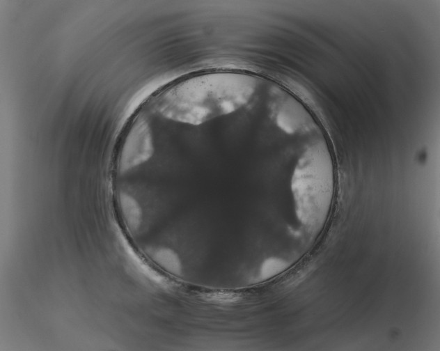X0000116121141200912211648