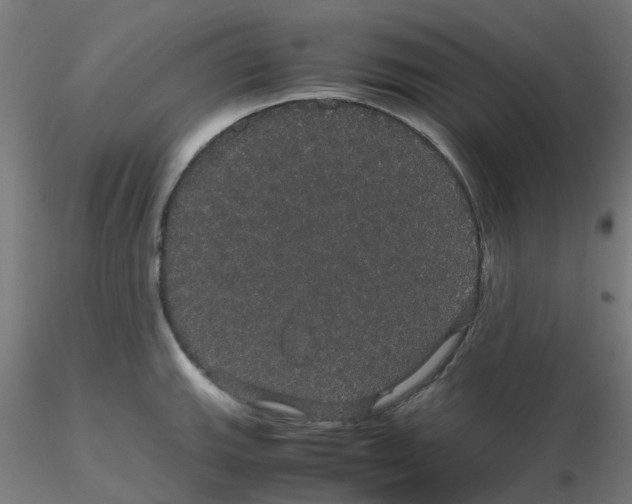 X0000116121143200912211648