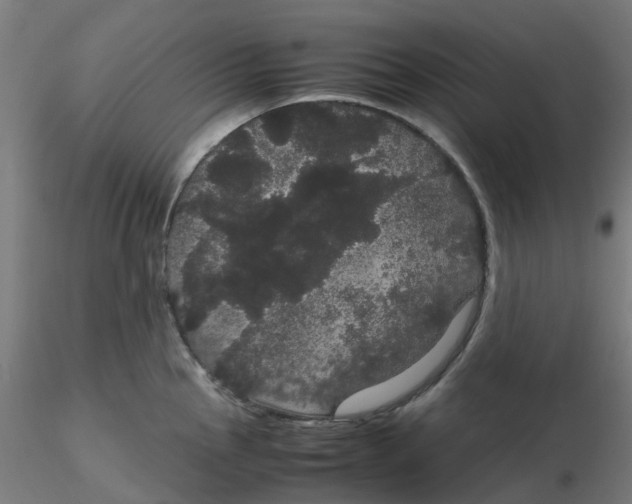 X0000116121145200912211648