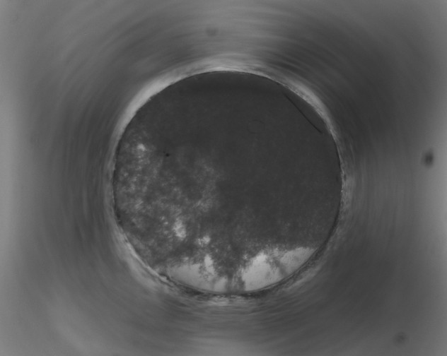 X0000116121146200912211648