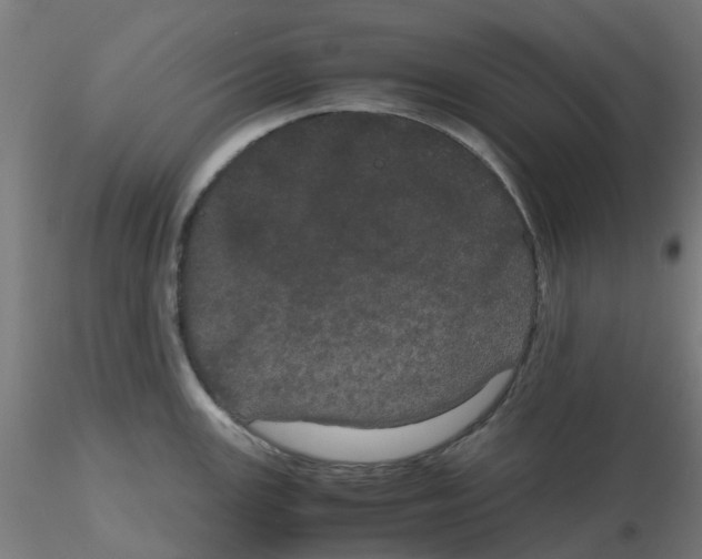 X0000116121147200912211648
