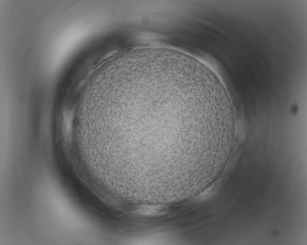 X0000116121150200912211648