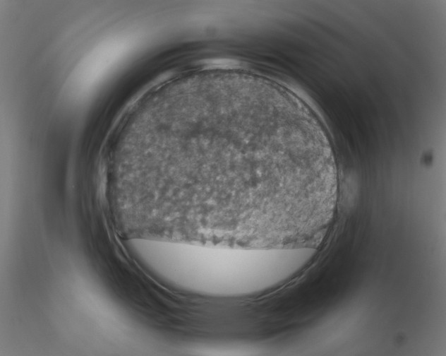 X0000116121151200912211648