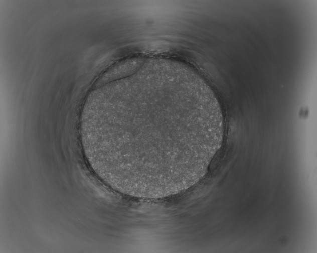 X0000116121153200912211648