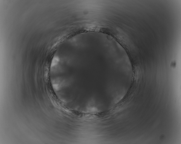 X0000116121154200912211648
