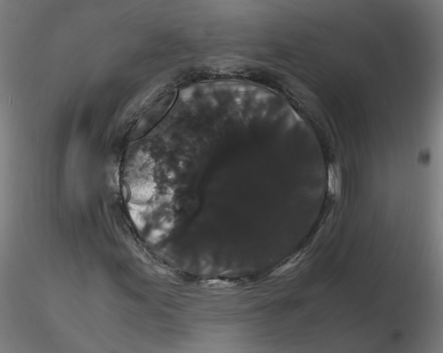 X0000116121155200912211648