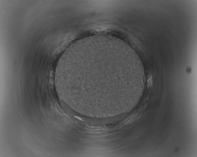 X0000116121156200912211648