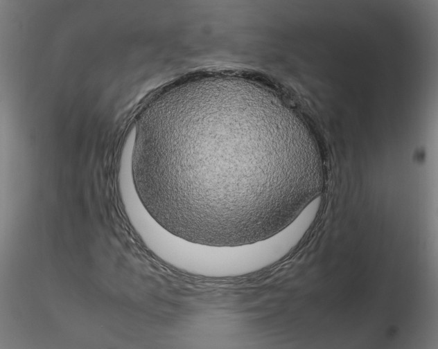 X0000116121157200912211648