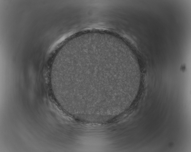 X0000116121159200912211648