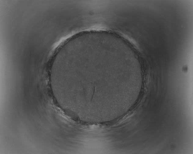 X0000116121160200912211648