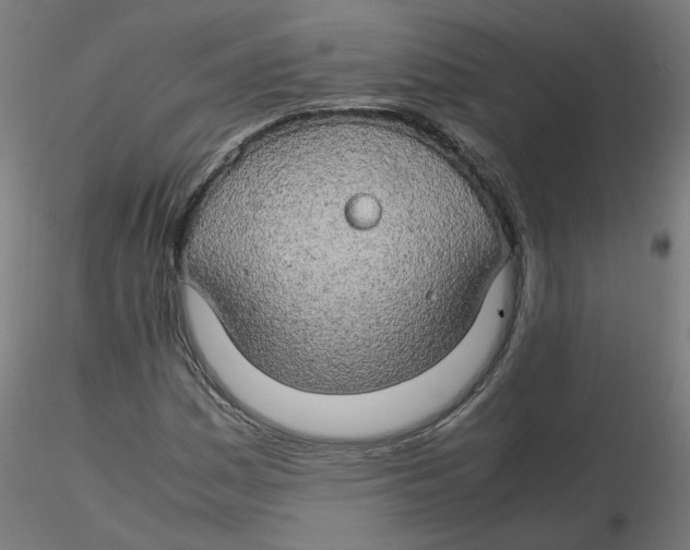 X0000116121161200912211648
