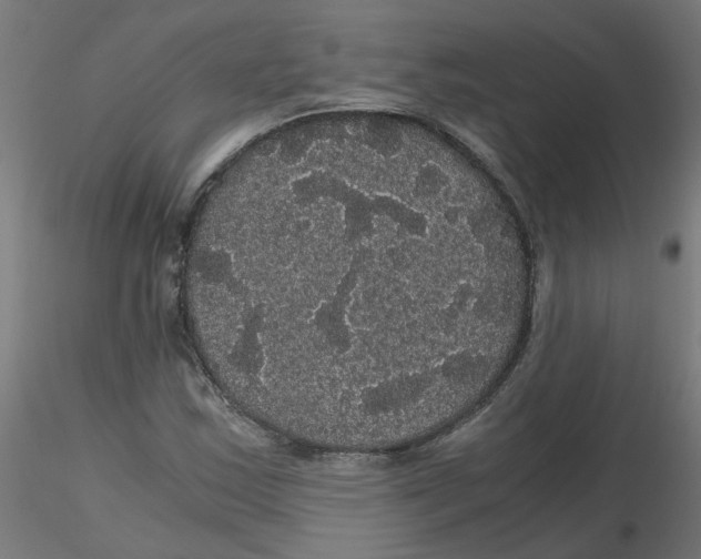 X0000116121163200912211648