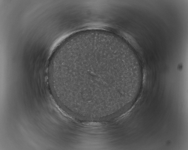 X0000116121164200912211648