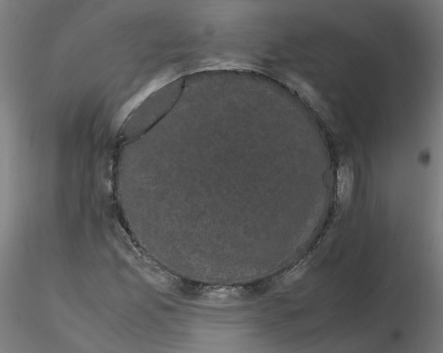 X0000116121165200912211648