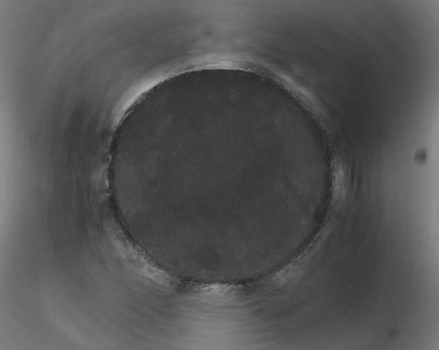 X0000116121166200912211648
