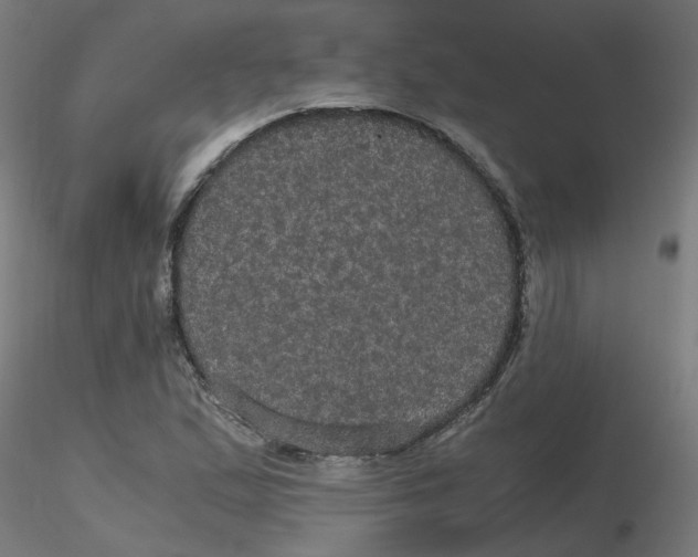X0000116121167200912211648