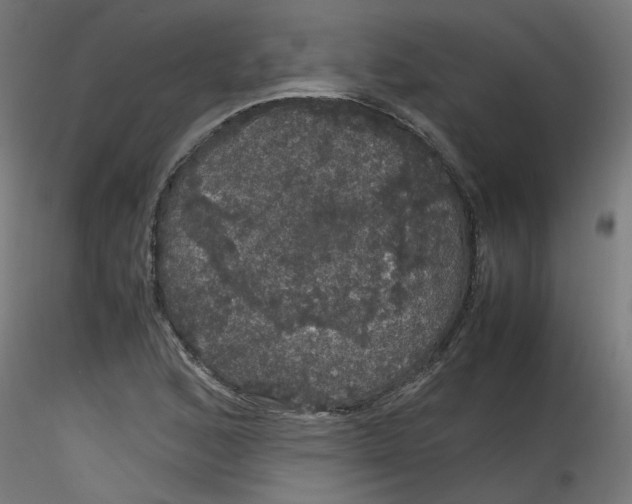 X0000116121168200912211648