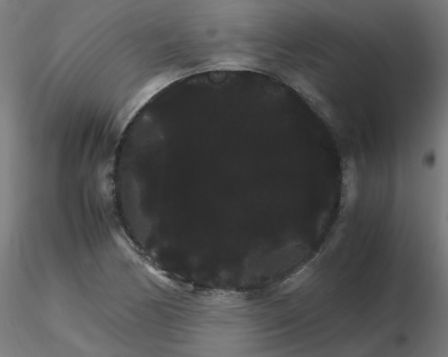 X0000116121170200912211648
