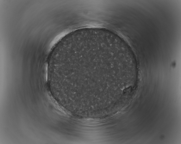 X0000116121171200912211648