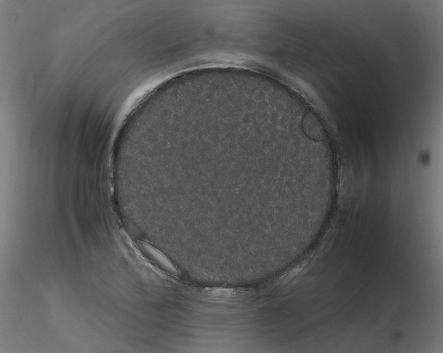 X0000116121172200912211648