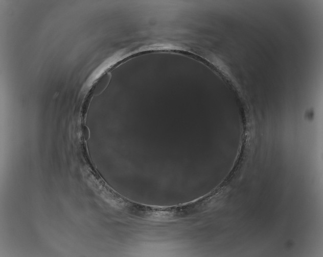 X0000116121173200912211648