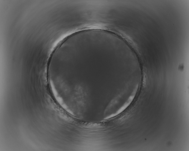 X0000116121174200912211648