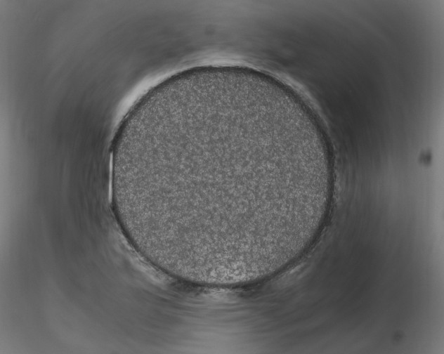X0000116121175200912211648