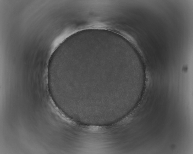 X0000116121176200912211648
