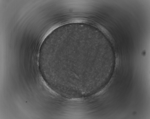 X0000116121178200912211647